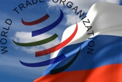 После вступлении России в ВТО доля импортного текстиля на отечественном рынке увеличится до 80%