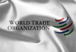 После вступления в ВТО и снижения в следствие этого таможенных пошлин потери отечественной легкой промышленности составят 2 млрд рублей